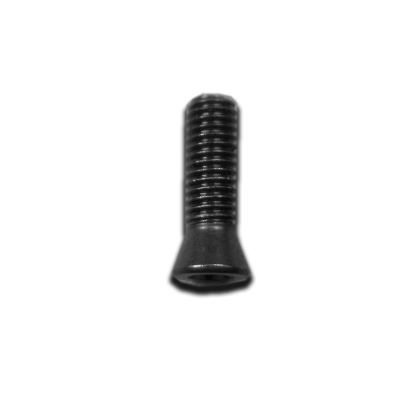 [757010] TORX SCREW T8 M3x10 (ORIGINAL STYLE BITS)